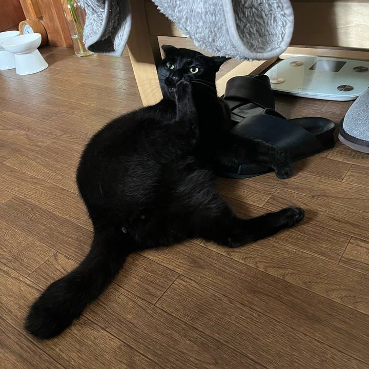 Be7d0901 79f3 44d8 9bde 7b6ce33bf9d0 1714195193430