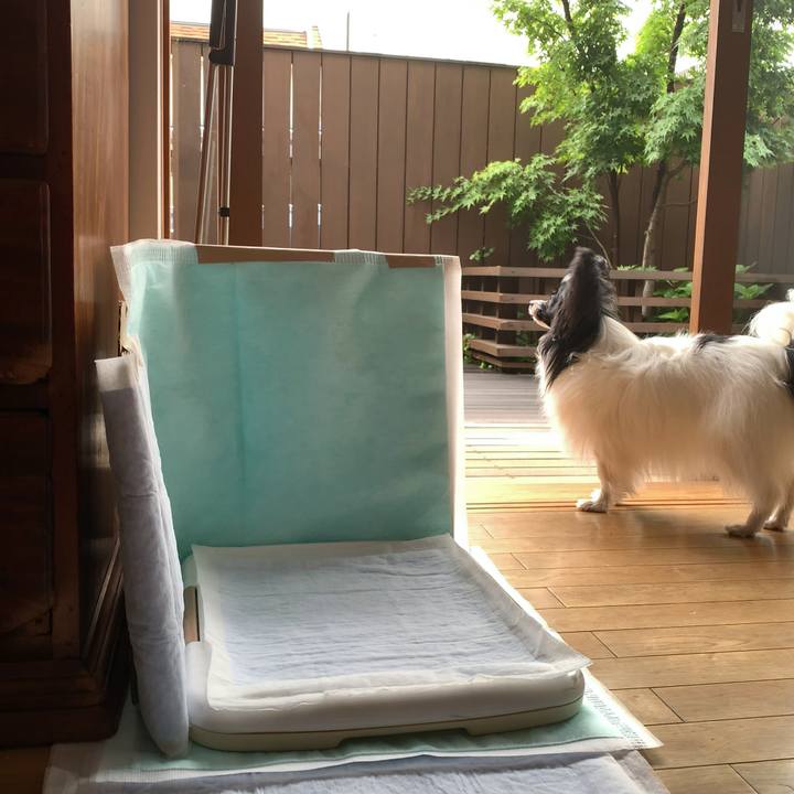 Be7d4e71 6027 4bc2 8a9f 9d56e34645ec 1559953192688