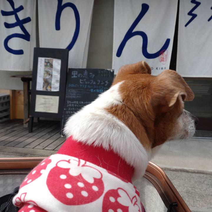 Be7d7747 815a 4236 b0fc 9823044402d6 1773577807840