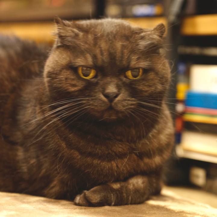 Be7d9757 f0f8 43db 9412 7f0e787cade7 1611499277315