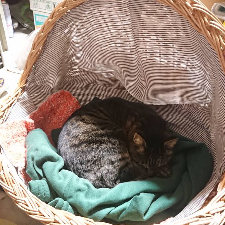 Be7dabf1 1115 43f1 af01 55bf0e9ae55e 1641645440553