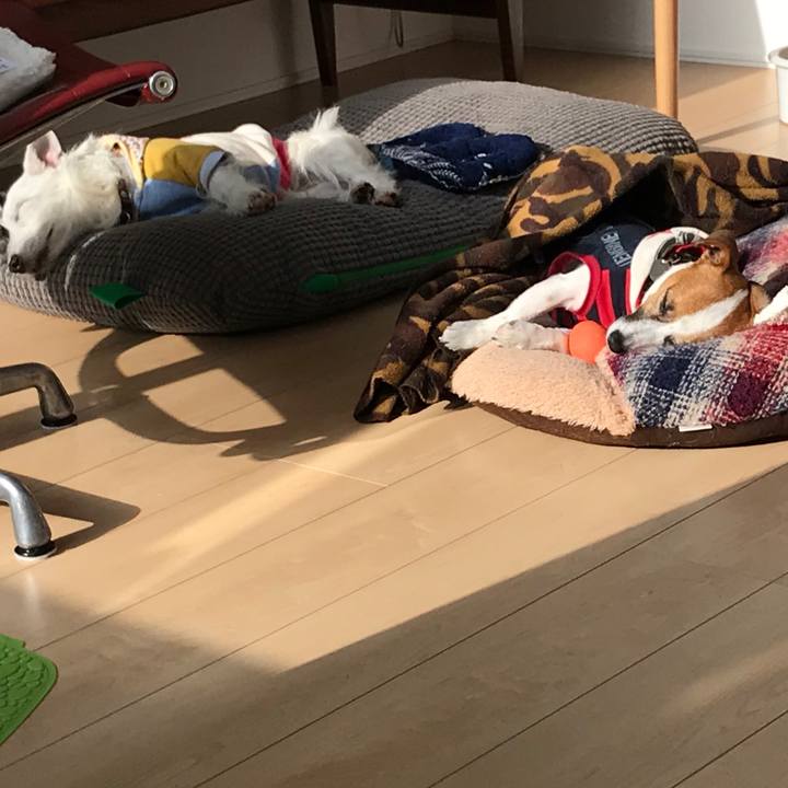 Be7de95b 0383 4370 bf28 b55e201e9a14 1512100679779