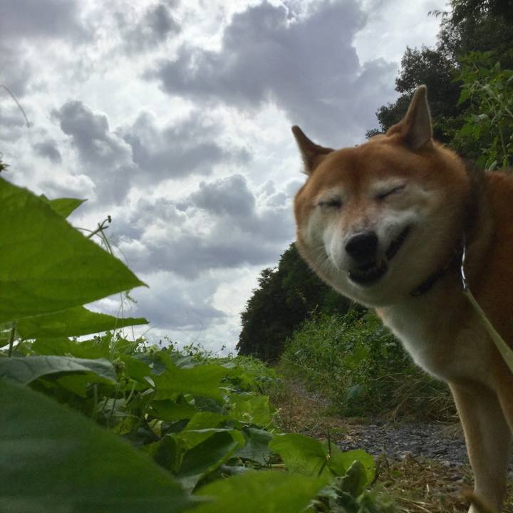 Be7e39d6 4766 4214 8146 a2c6c738d0a1 1601355869350