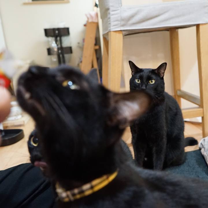 Be7e5e8e 0cb3 4736 87b7 298d359f28fa 1543236054612