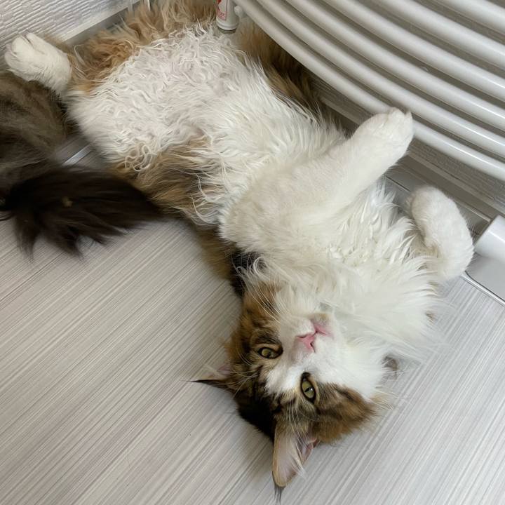 Be7e7b51 9b4b 4204 b615 0e193b7dbb74 1652816029360