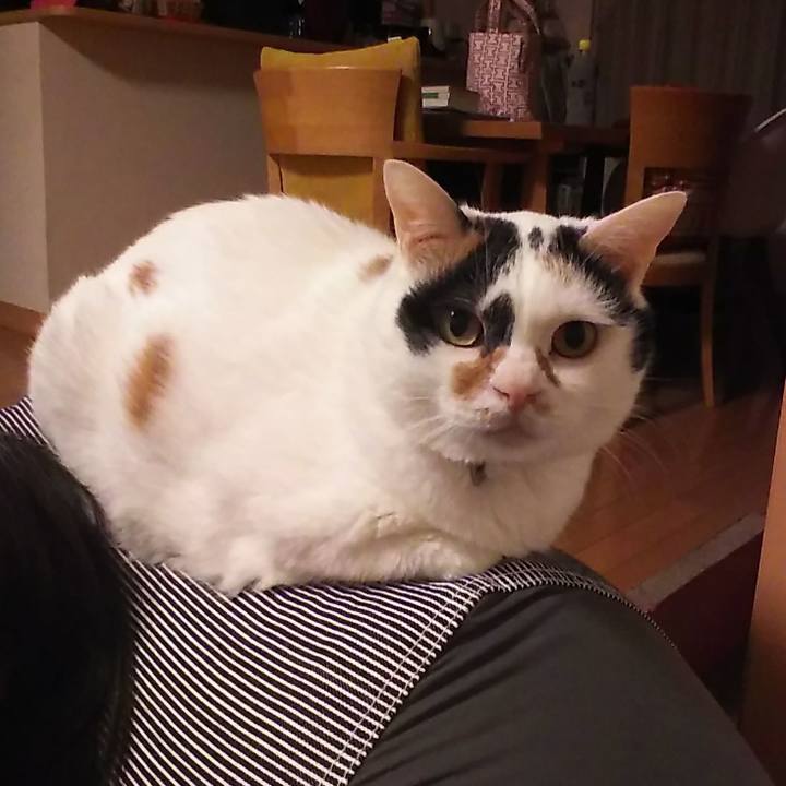 Be7e8a92 592d 4d18 ab67 14514252f729 1549632019278