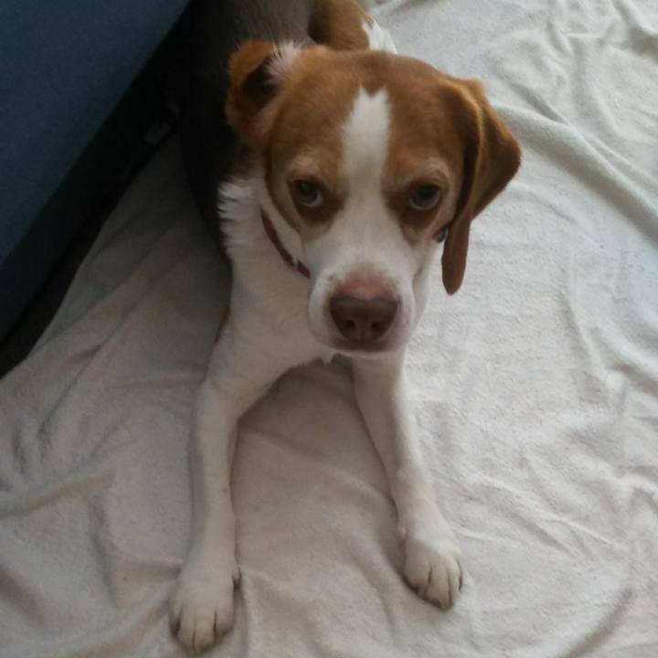 Be7ea7a1 ab1b 4db3 a93f 06781d2780bb 1656144737158