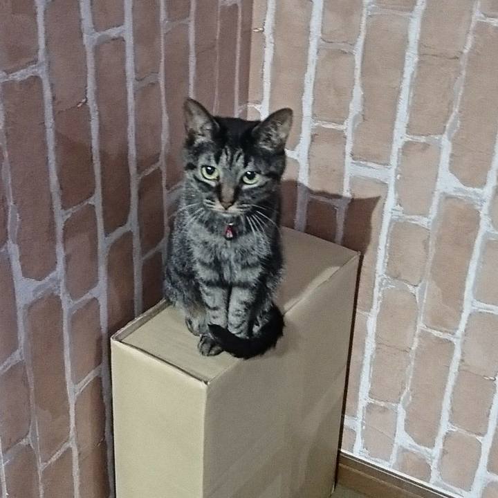 Be7eb0ce 1485 4feb bcef 7fa441298864 1532992733125