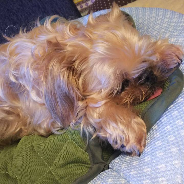 Be7eeb64 4209 4f08 bd9c 5c289d510561 1529895272815