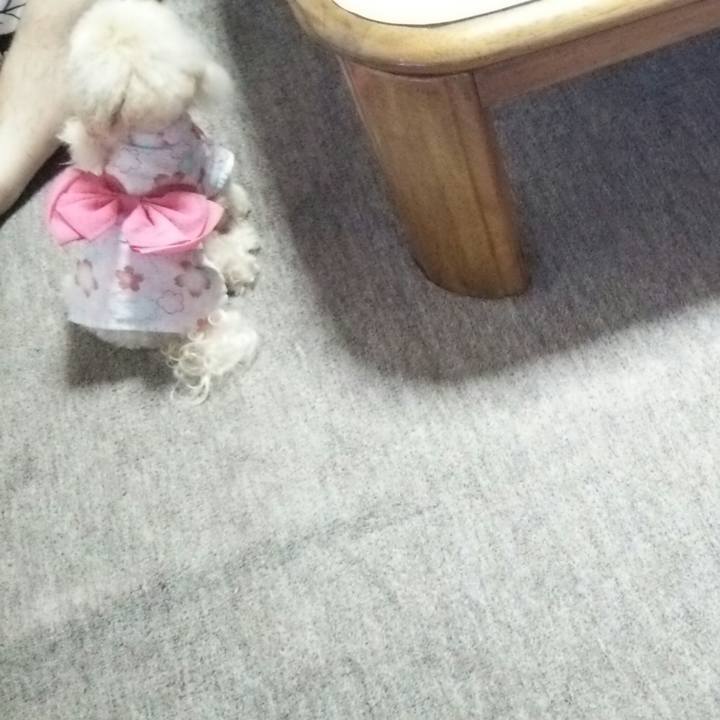 Be7f1141 9789 490c a889 fa1e4d9cff43 1532259680705