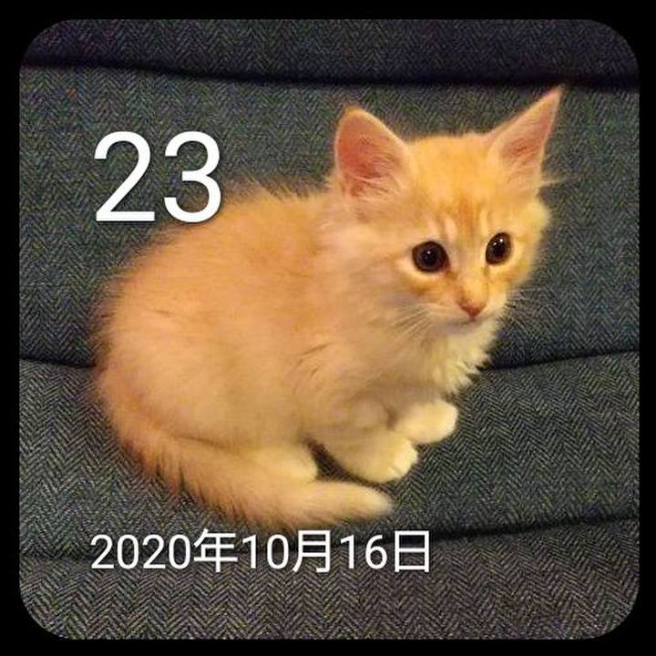 Be7f1fc6 ca61 4bbc a139 ae32bf04ee14 1634983889649