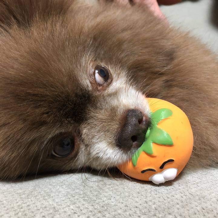 Be7f212c 5c41 4afd abbe 603ba15952dd 1607165875721