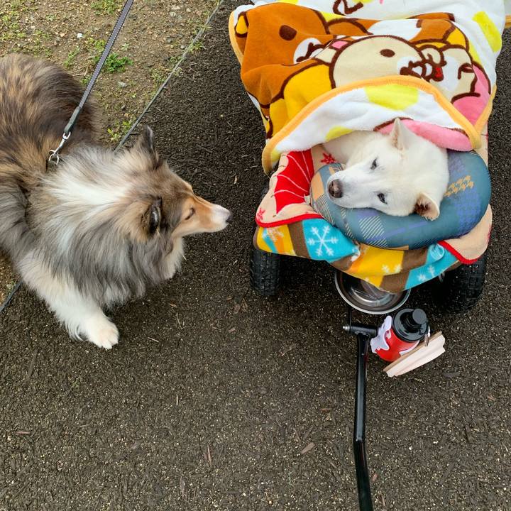 Be7f4996 efc8 4781 8232 b2de8d050178 1583715250968