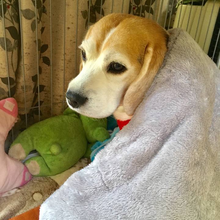 Be7f4ec1 e5f0 4189 9fd6 ae2a56808410 1543116273983