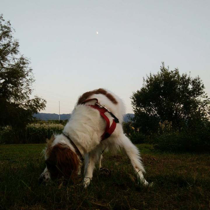 Be7f55ad 2eda 4db9 9438 98aea4b13003 1539946046378