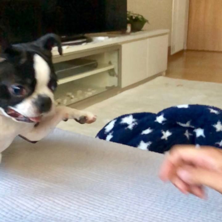 Be7f6a1d 5443 4f8d b2ae 7073185c6445 1533282815420