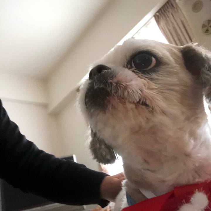 Be7f9041 e6ca 4631 a4db 6973274a77f8 1577397359039