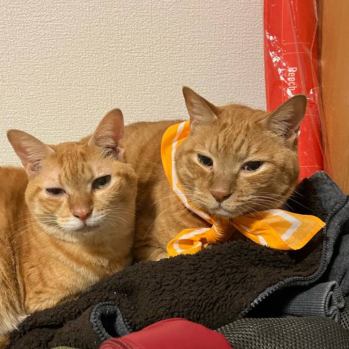 Be7ff9da 8410 4e8c 9911 0688f3b6f117 1763284427204