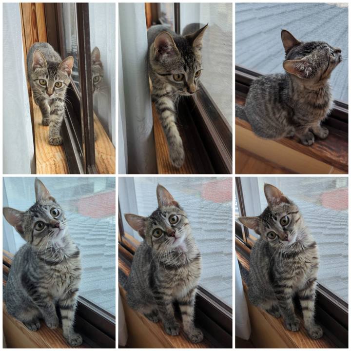 Be801dce 09c4 49fb 95b3 16697500ad70 1701502821754