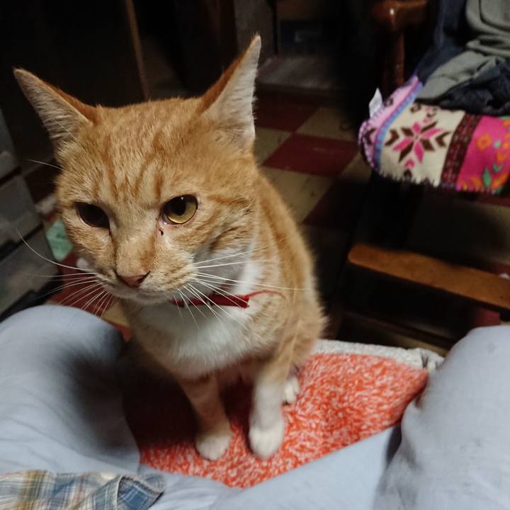 Be804112 f957 48cc ba03 b8bfaeb2b79d 1570564128527