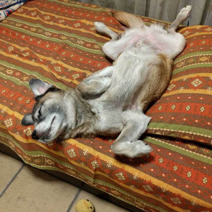 Be8046e8 ca49 47d5 830f 615d387e03ad 1540858868694