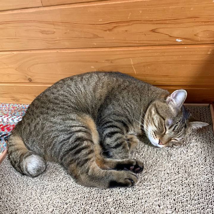 Be805357 0891 49bc 8624 a46fcdd046c8 1595666561735