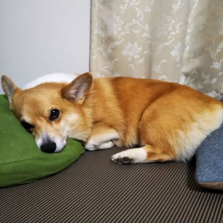 Be806cc7 58ce 4164 b5b7 0e38ff541747 1570367617079