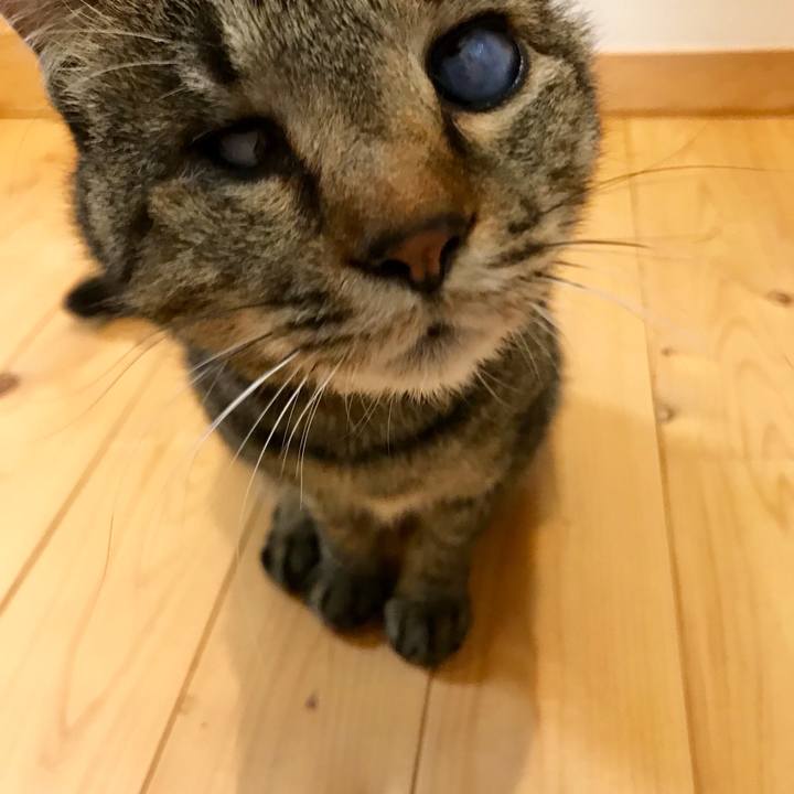 Be807d95 34c9 42a4 814d 8897639afc55 1557735229004