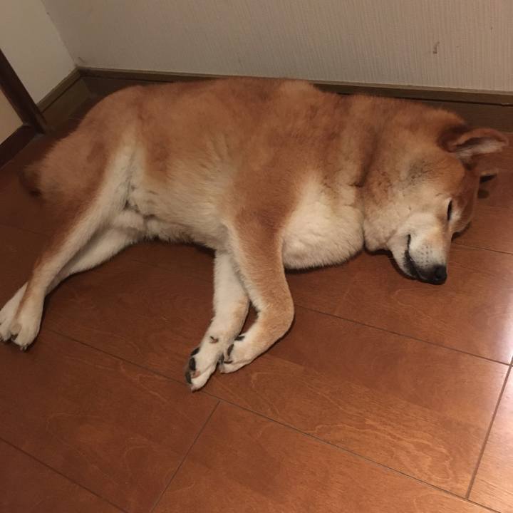 Be807fd9 b8c7 457e 992f 67ea23836068 1629124264356