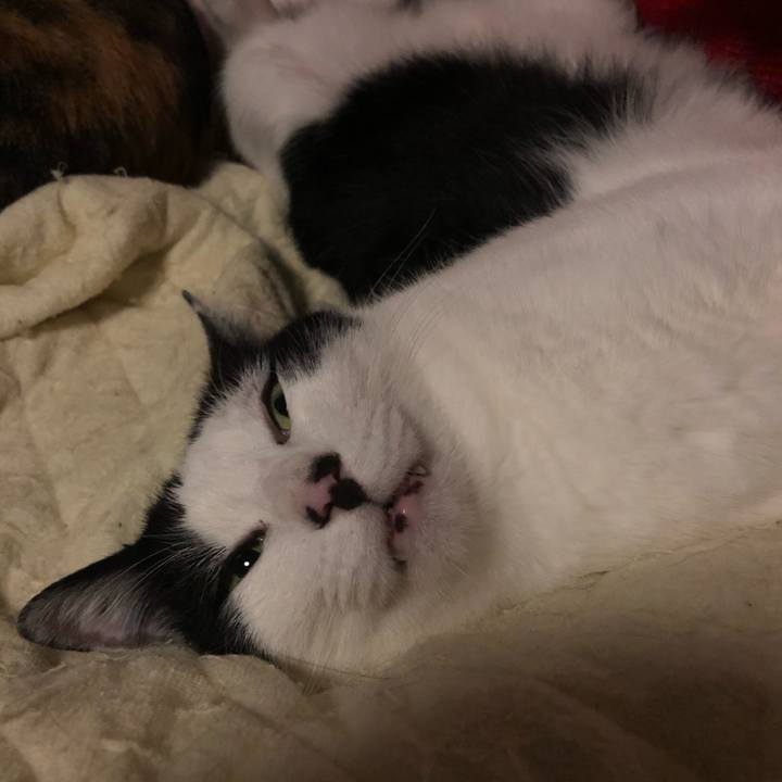 Be809251 07d9 4a99 94b1 5a5e25249781 1605820788659