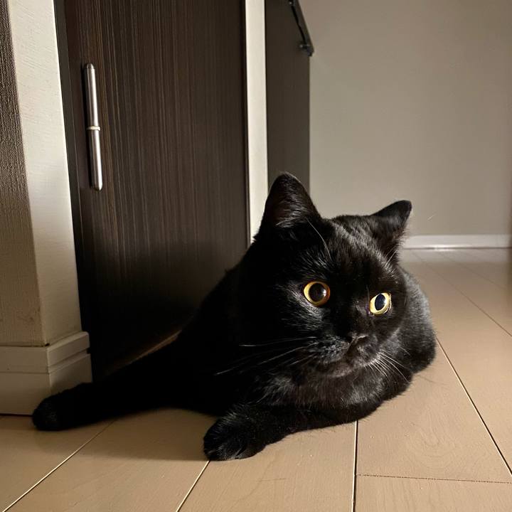 Be80e900 43c8 4907 b3d8 d654d12ccc5a 1630149543193