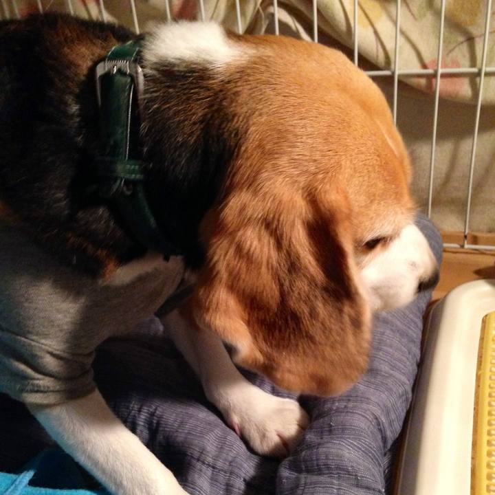 Be815d71 c6bb 42d6 ac3d db095b4f710d 1750842481030