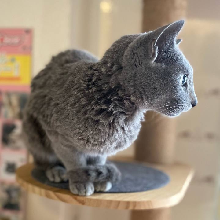 Be817d0e ad75 4de6 8ae1 d22aedd70803 1715576931196