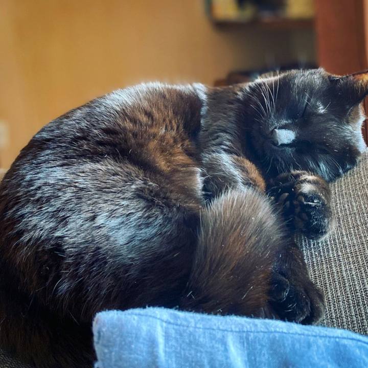 Be818b04 bea3 432f bcb5 415267f65078 1584760015092