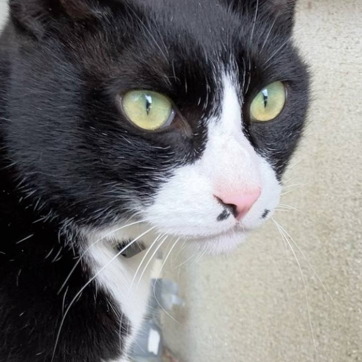 Be819761 694b 47ae 90bf 30fd2f297b84 1742871804025