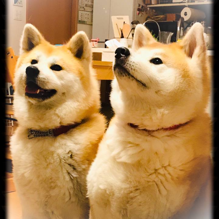 Be81c6db a3ba 429b 9f4b 645250356e26 1554036848850