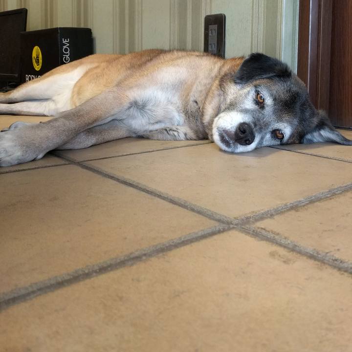 Be81f077 b1d4 4051 8861 85aa96f2d695 1551409973834