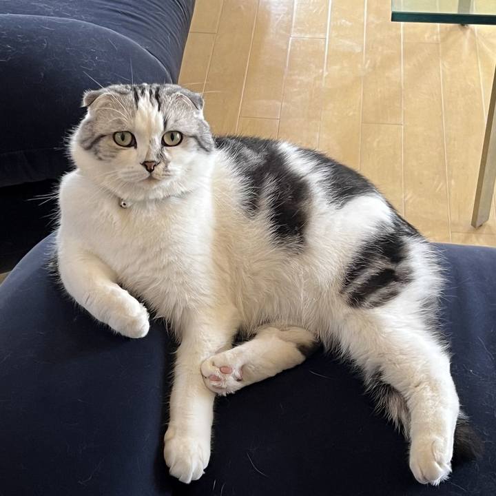 Be8202eb 5de5 438c 9c13 60bc745814d5 1669276650004