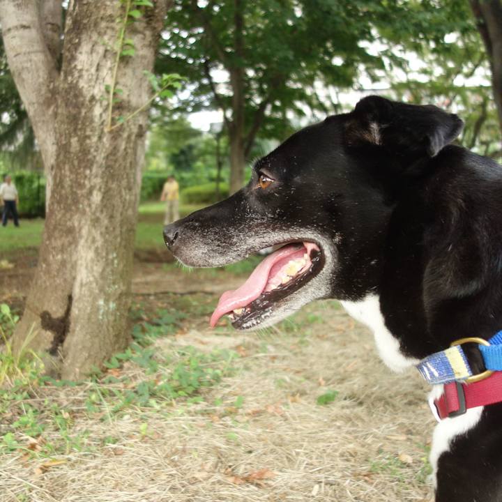 Be820d4f 9f67 4ac3 9bb9 bb52d934eea6 1694389847762