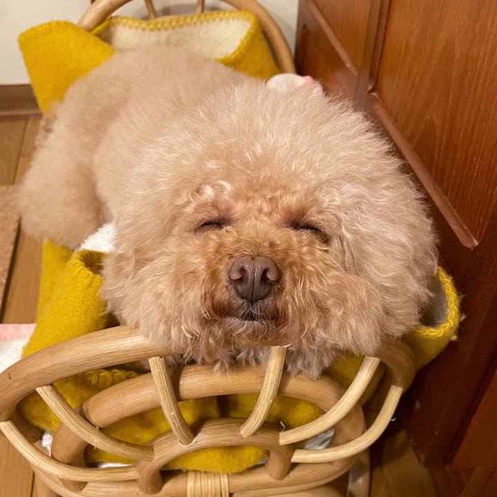 Be821a8b 33ad 4a5c 902c bc7fb5e1e575 1615978227311