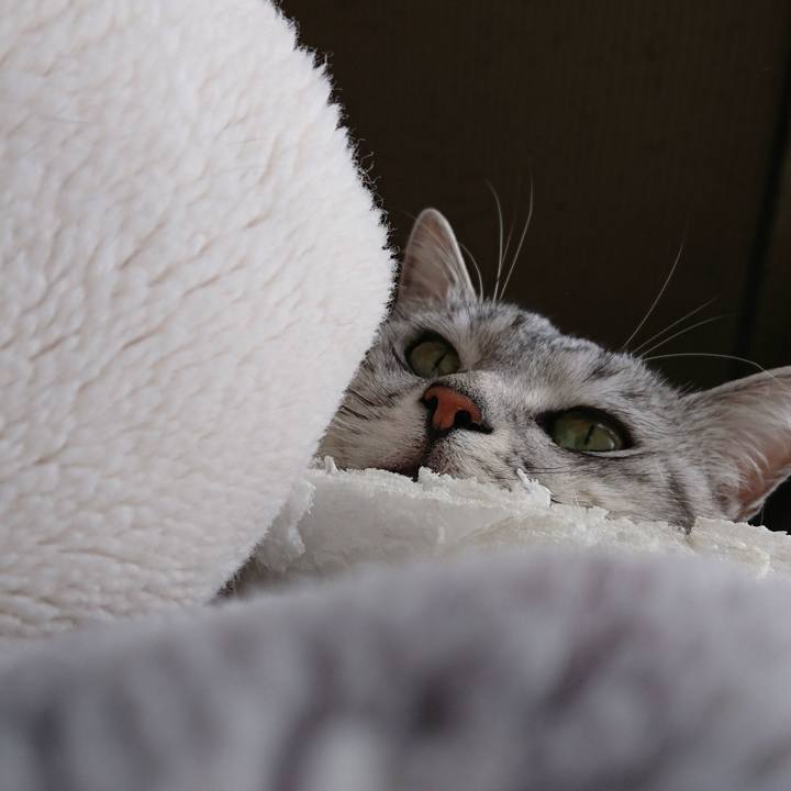 Be8230e1 e388 4298 a0ca 58459dd18de8 1543885905510