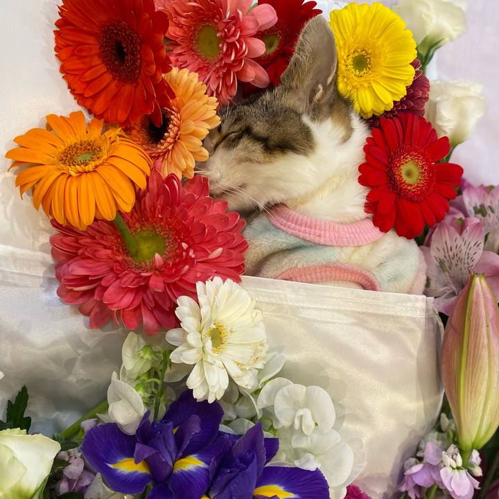 Be8231a9 008c 4f38 9da9 4c982ca5fb19 1708495714234