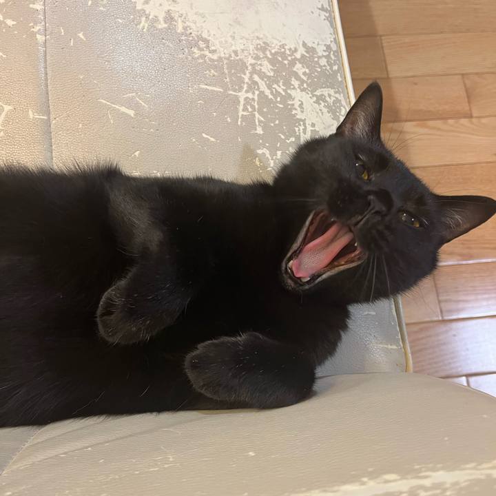 Be823a42 7af5 495d b40a 49540a5d1f40 1716686072347