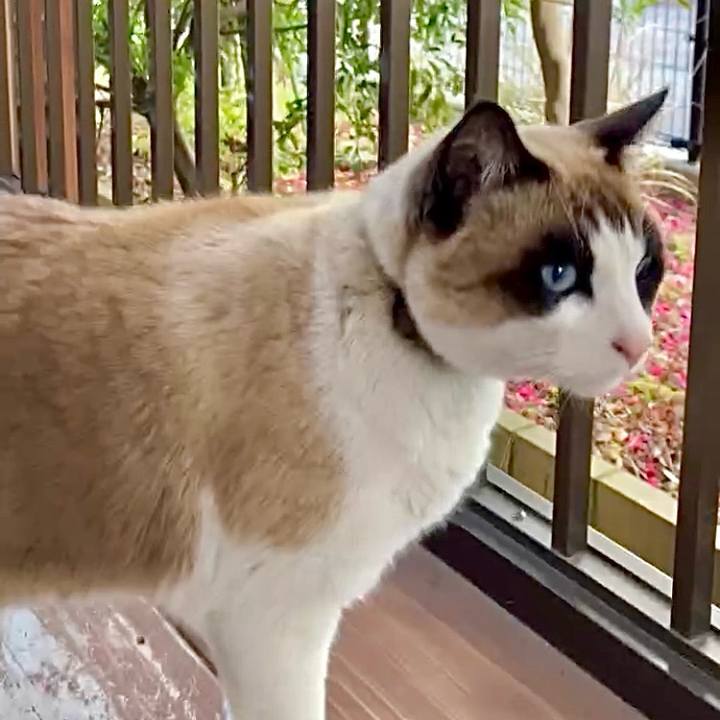 Be828263 064a 4c4e bb8d 8e1bd644cb07 1739870750304