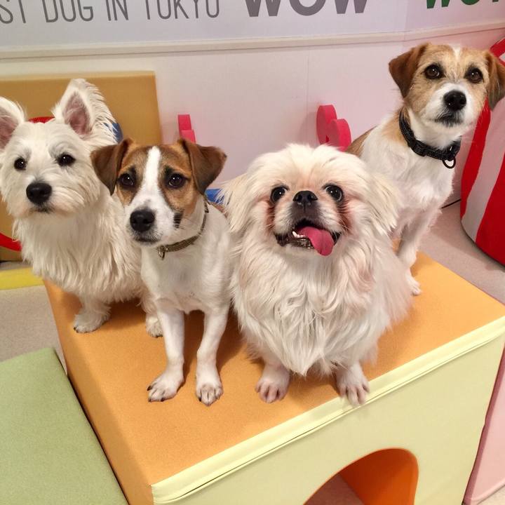 Be829ea4 6bd9 414a 9ef8 abeeaca19b86 1552994748329