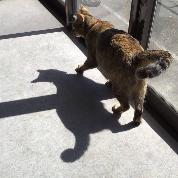 Be82bad8 17e4 49ff a15d 28295e29000b 1584253062595