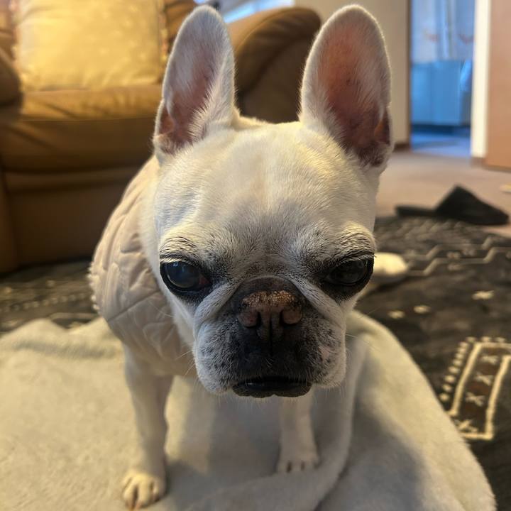 Be82c43f feef 4f43 af05 e67b26f9651f 1769597886838