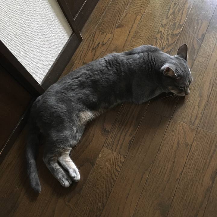 Be83035d 49ee 4e8e a287 e48d87eb5331 1596844163405