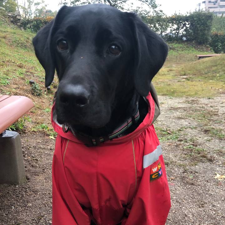 Be8309ec 4d32 453f a6ff 172ec6084276 1577807135952