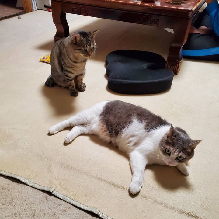 Be833580 e0fe 4605 b9ec 2f4d3b0d0294 1699893003452